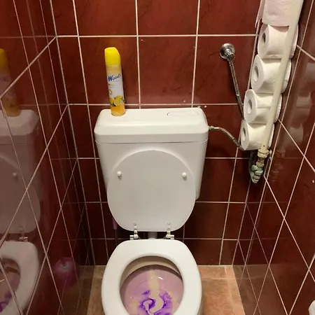 Carpe Noctem אכסניה