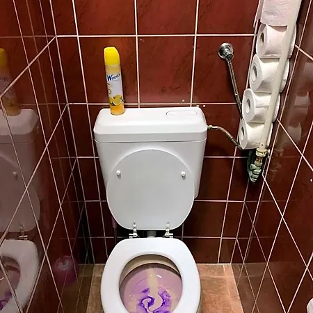 Carpe Noctem Hostal Budapest